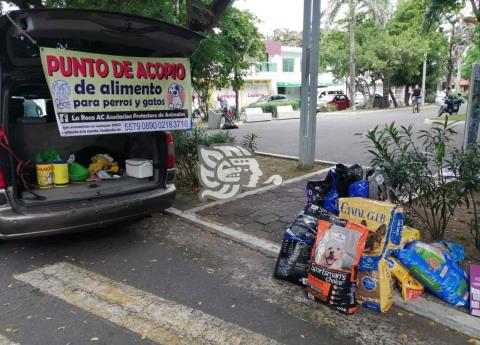 Croquetón will feed 350 pets that live in La Roca shelter