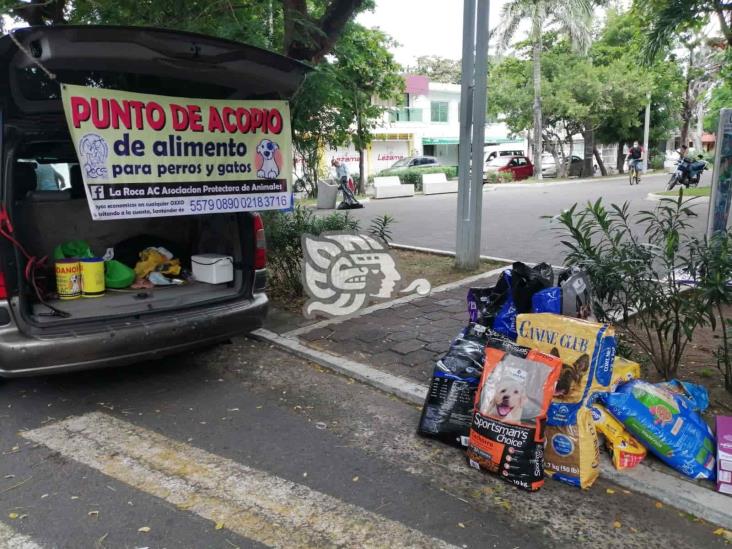 Croquetón alimentará a 350 mascotas que viven en albergue La Roca