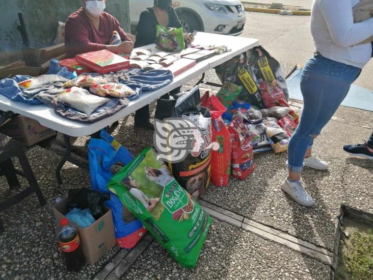 Crece abandono de mascotas en pandemia