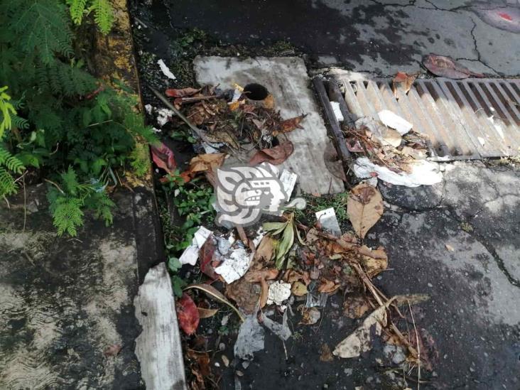Basura en las calles provoca inundaciones por lluvias en Veracruz