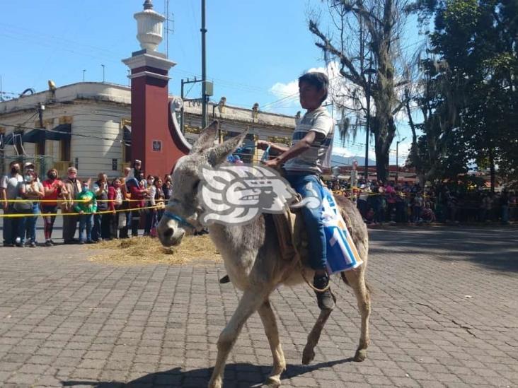 ‘Con golpes y heridas, obligan a burritos a correr en Orizaba’, señalan activistas