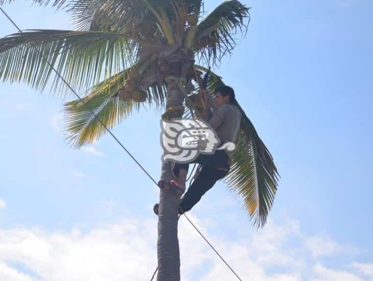 Para sobrevivir: Jesús Mario corta y vende cocos en el puerto