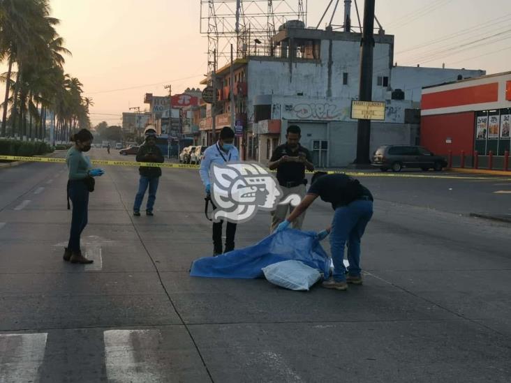 Muere atropellado por un autobús en la avenida Allende