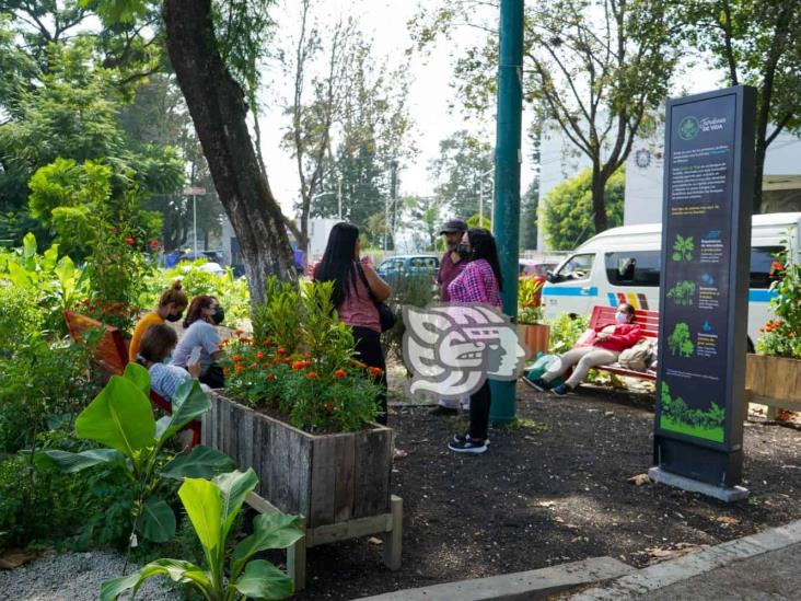 Xalapa creció 700% su mancha urbana en último medio siglo