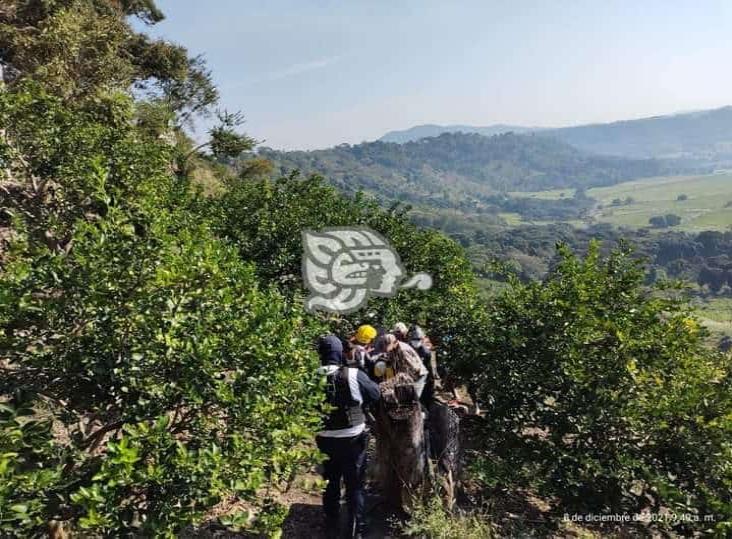 Al fondo de un barranco, bomberos de Coatepec rescatan a octogenario en Tuzamapan