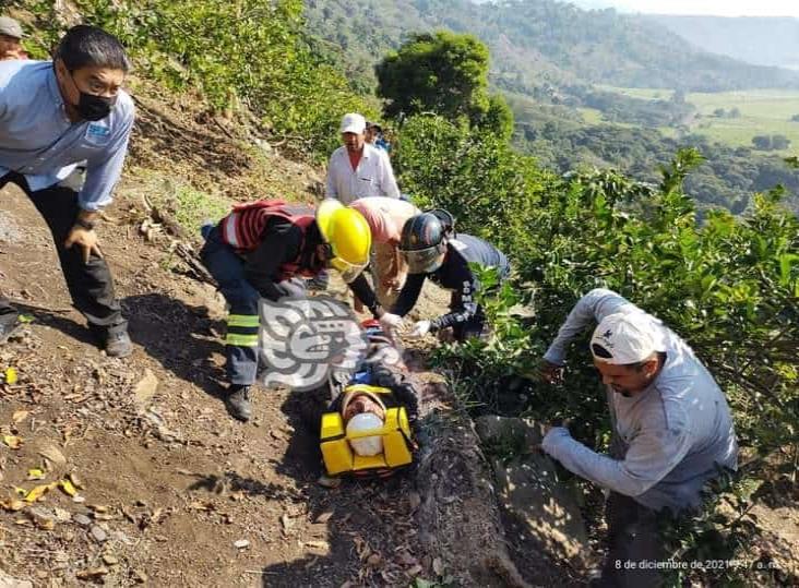 Al fondo de un barranco, bomberos de Coatepec rescatan a octogenario en Tuzamapan