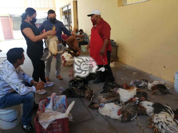 En Veracruz, pavos para cena navideña hasta en mil 500 pesos