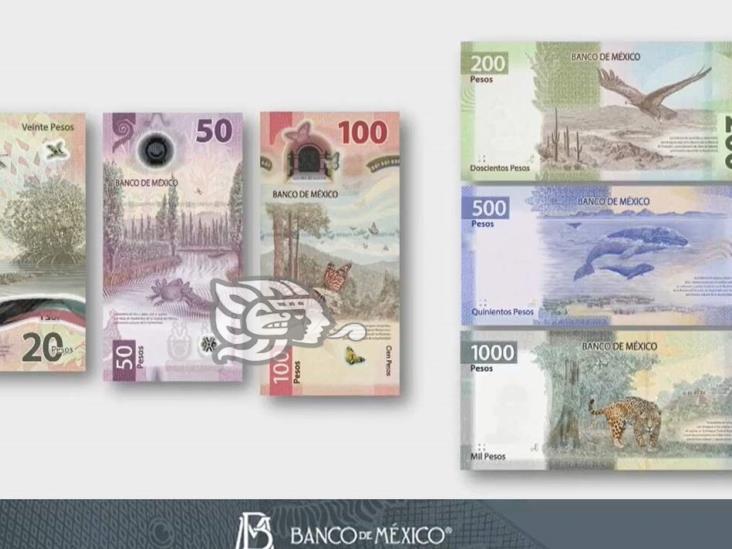 Estos son los nuevos billetes y monedas que llegaron a México en 2021