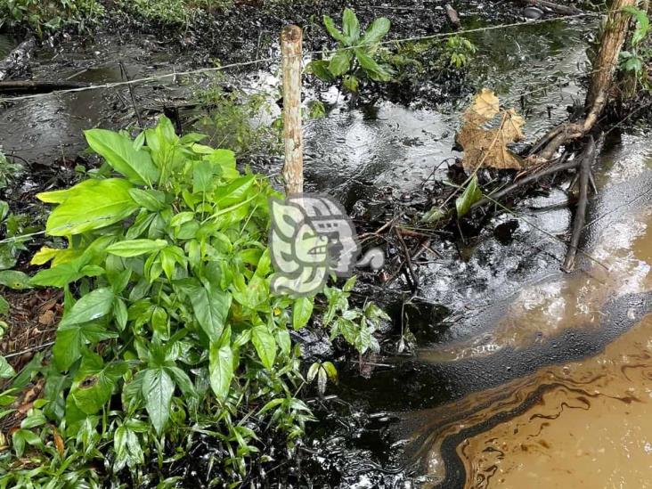 Pozos y parcelas de Ixhuatlán están contaminadas por el hidrocarburo
