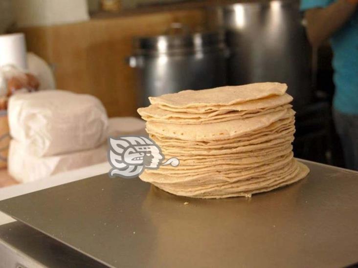 En Misantla, precio de la tortilla permanecerá estable