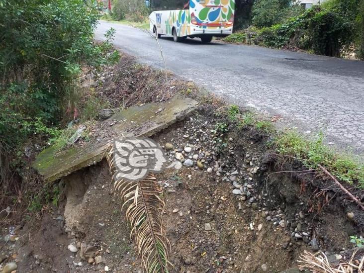 Puente Agua Lola de Misantla, a punto de colapsar; vecinos temen quedar incomunicados