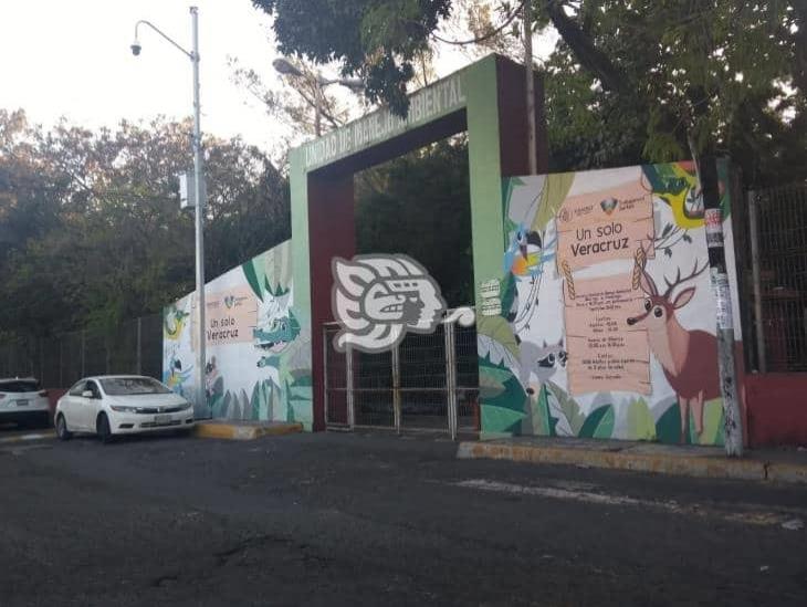 En dos meses iniciará la rehabilitación del Zoológico de Veracruz: alcaldesa