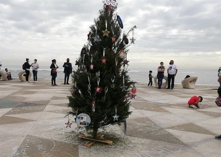 Colectivos instalan árbol de la memoria por los desaparecidos en Veracruz