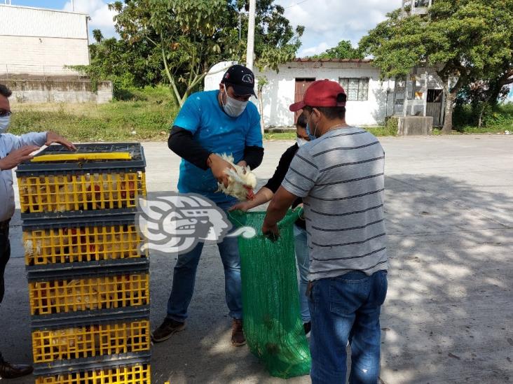 Unefa entrega gallinas ponedoras en Misantla