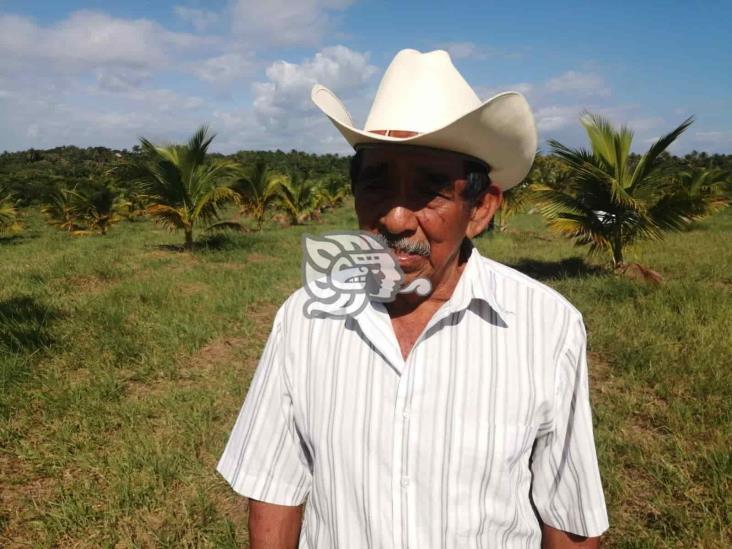 Da frutos Festival del Coco; avanza reforestación en Colorado y Guillermo Prieto