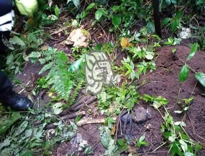 Hallan osamenta al fondo de la barranca de Metlac