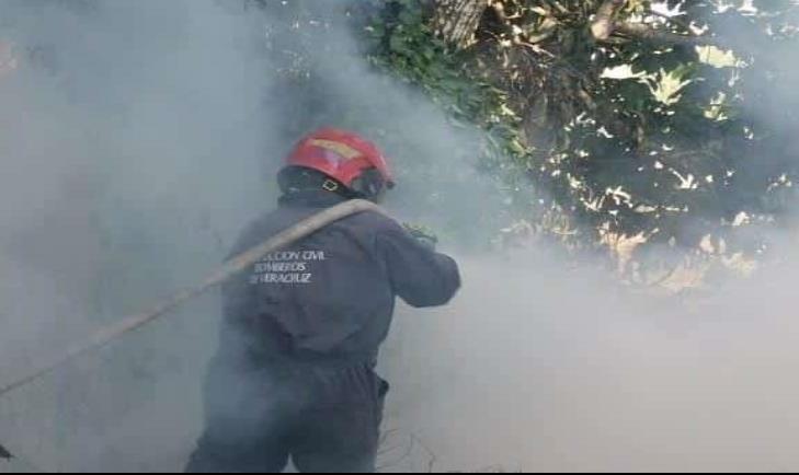 Se registra incendio en pastizal de Veracruz