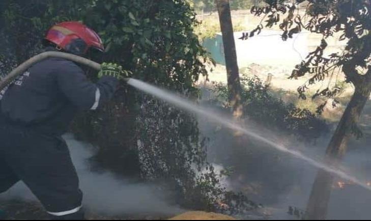 Se registra incendio en pastizal de Veracruz