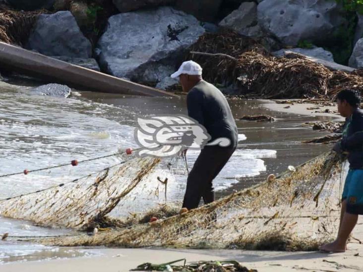 Aprovechan pescadores buen clima en Veracruz