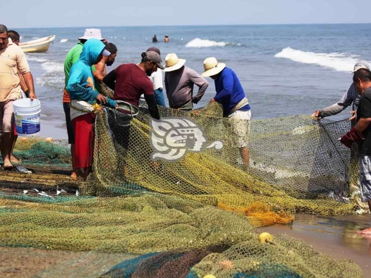 Aprovechan pescadores buen clima en Veracruz