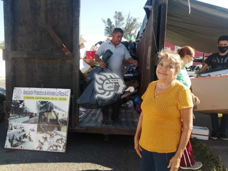 Llaman a evitar regalar mascotas en estas fechas