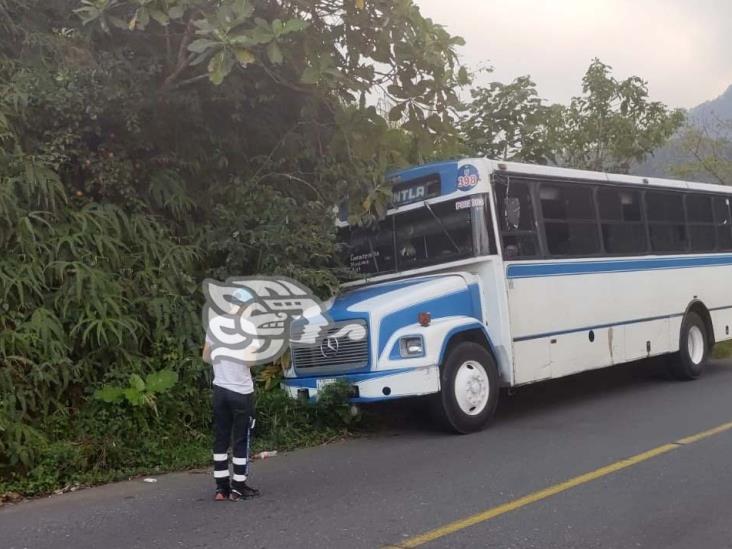 Tras falla mecánica, autobús se despista en la Misantla-Xalapa; chofer evita tragedia