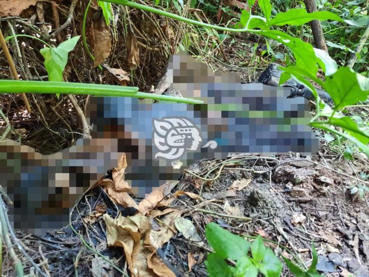 Encuentran putrefacto a campesino en carretera Jáltipan-Acayucan