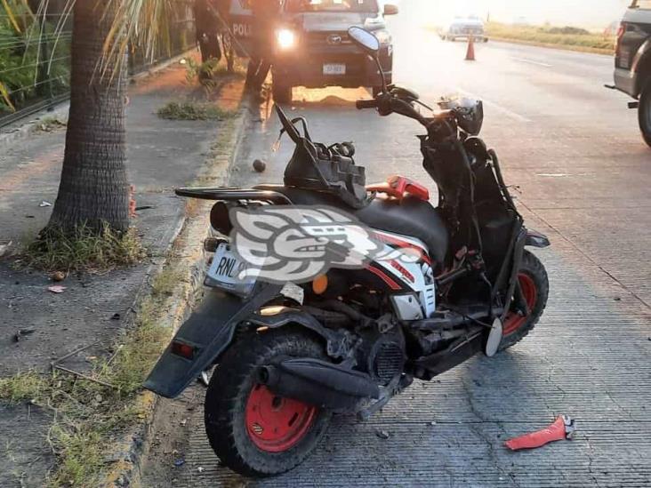 Fallece motociclista al estrellarse contra una palmera