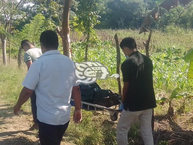 Encuentran putrefacto a campesino en carretera Jáltipan-Acayucan