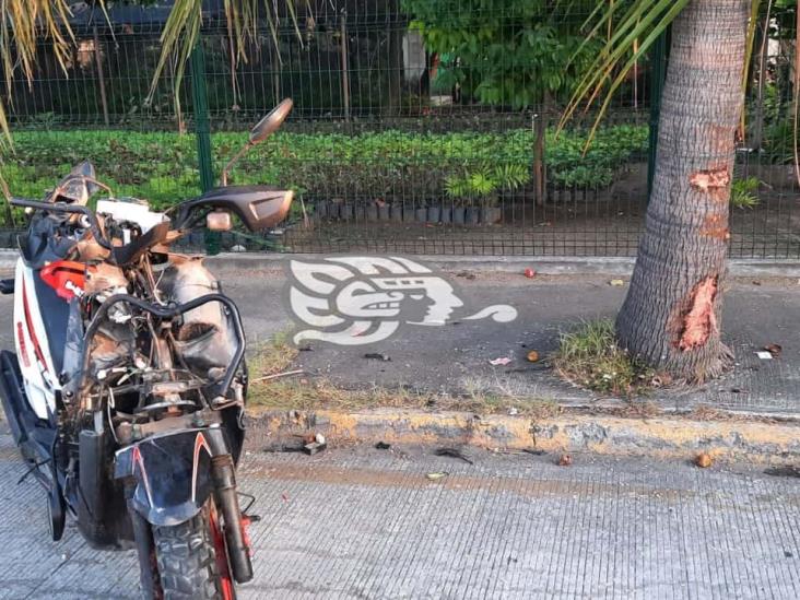 Fallece motociclista al estrellarse contra una palmera