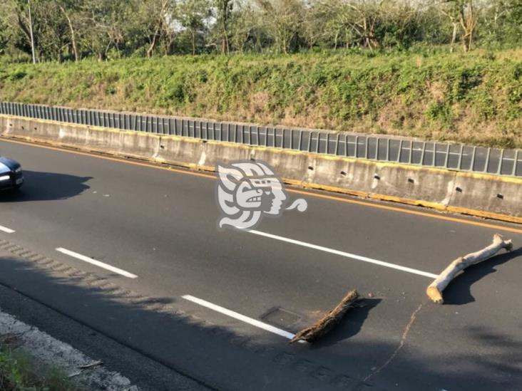 Movilización por intento de asalto en autopista de Acayucan