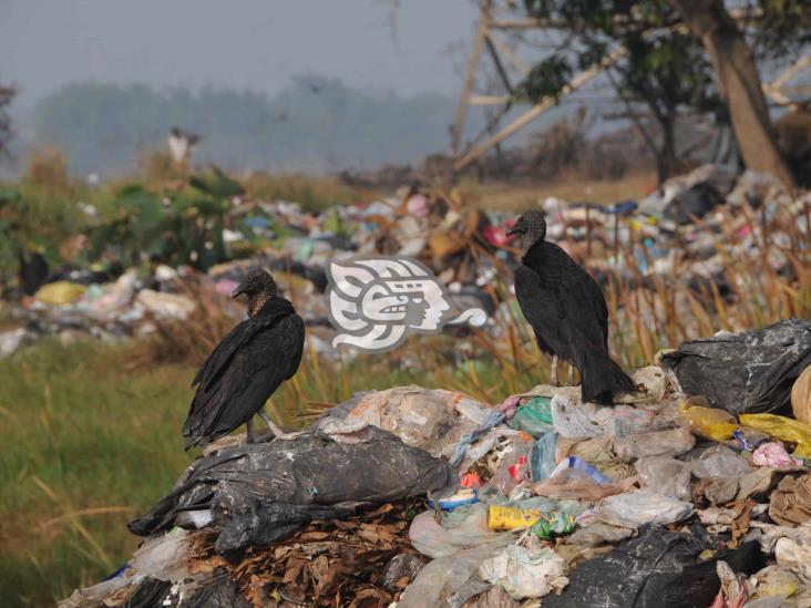 Preparan denuncias contra Coatzacoalcos y Minatitlán por delitos ambientales