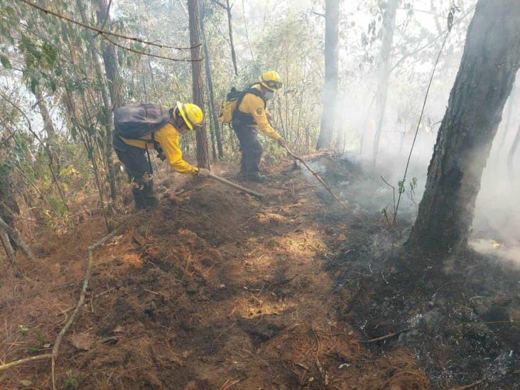 Continúan labores de liquidación de fuego en Calcahualco