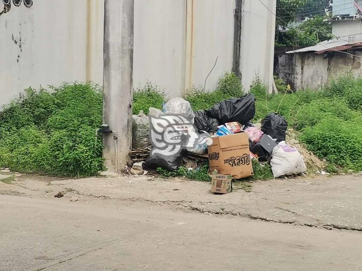 Recolección de basura, primer tarea a resolver de Esmeralda Mora