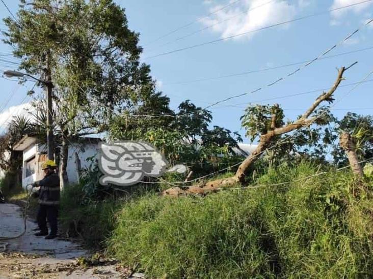 Reportan incontables daños en Xalapa, Coatepec y Emiliano Zapata tras fuertes vientos