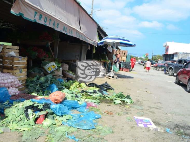 Calles en mal estado y servicio de agua, prioridad en zona Veracruz-Boca: PT