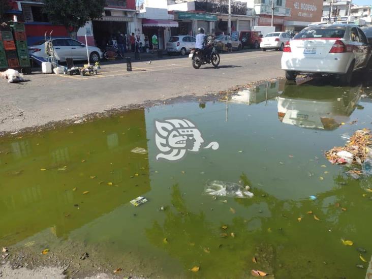 Calles en mal estado y servicio de agua, prioridad en zona Veracruz-Boca: PT