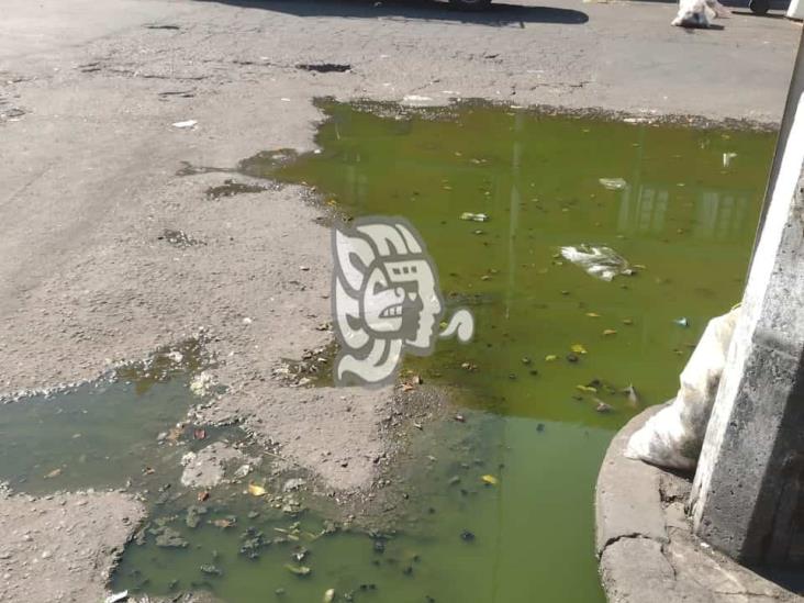 Calles en mal estado y servicio de agua, prioridad en zona Veracruz-Boca: PT