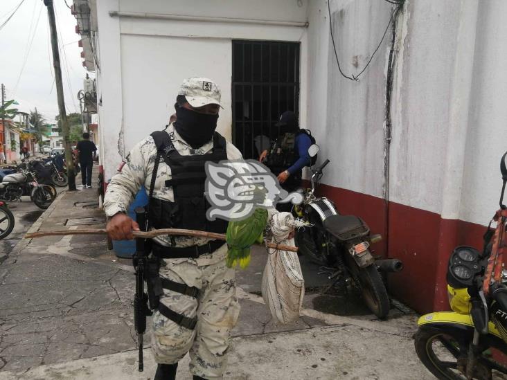 Detienen en Las Choapas a traficantes de aves protegidas