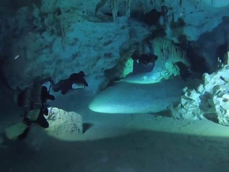 En Yucatán, querían construir una alberca; descubren un cenote