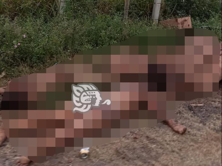 Encuentran nueve cuerpos desnudos y con huellas de tortura en Isla
