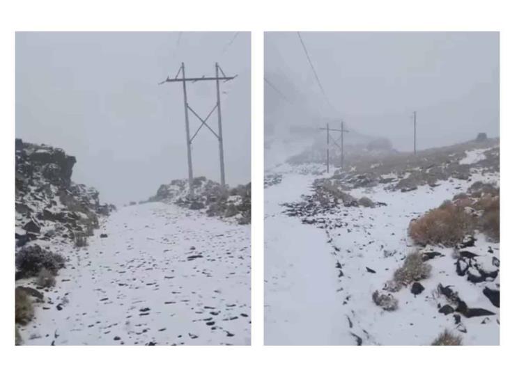 Cae primera nevada de la temporada en el Cofre de Perote