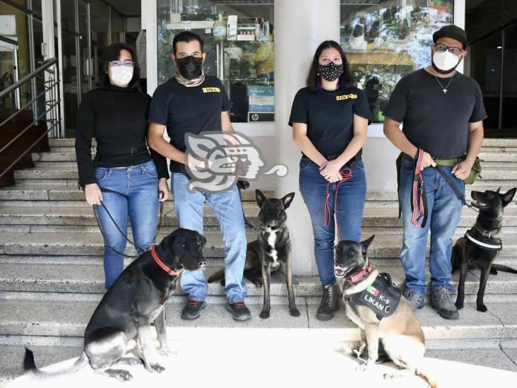 En Xalapa, invitan a congreso sobre adiestramiento canino