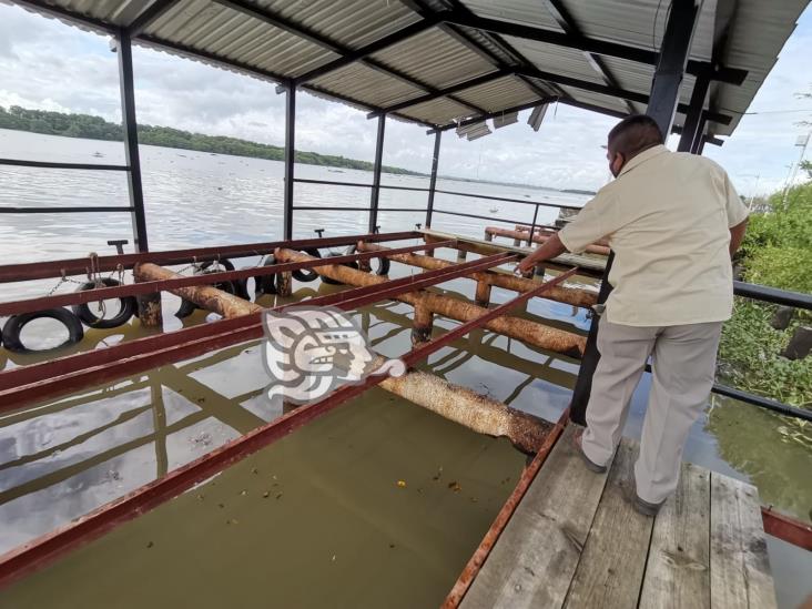 Podrían retomar el servicio de lanchas en Nanchital