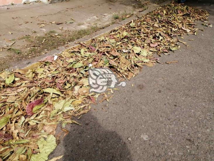 Paso de frente frío deja repleta de basura la zona conurbada