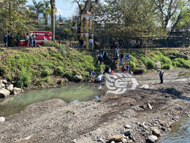 Empleado cae al río Orizaba mientras limpiaba palmeras