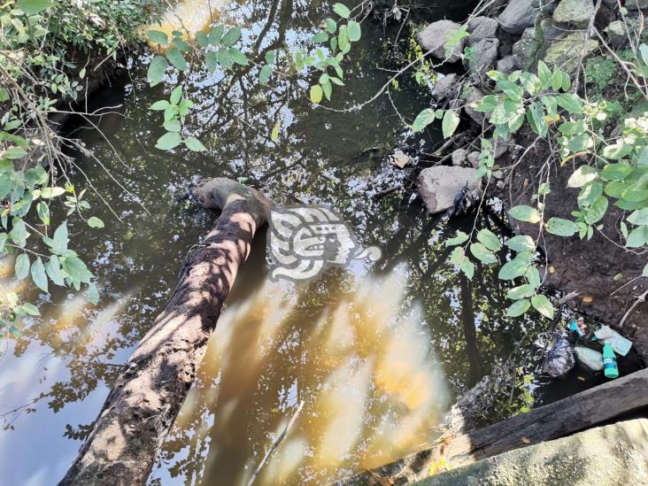 Contaminación en arroyos, 4 años intoxicando a Nanchital e Ixhuatlán