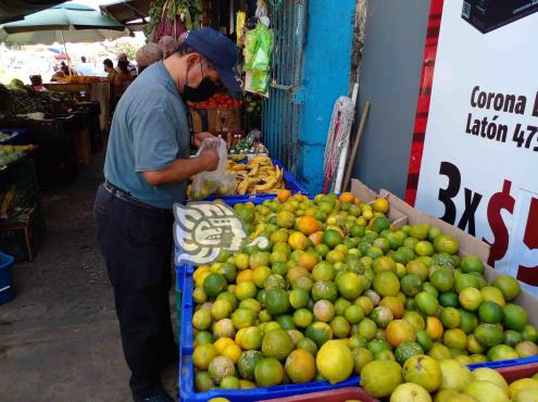 Frutas y verduras al alza por falta de producción en el sur de Veracruz