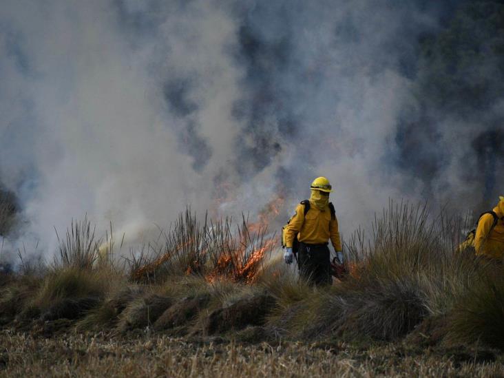 Cuidado de bosques, responsabilidad social; inicia temporada de incendios: CGJ