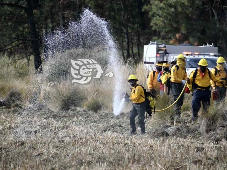 Cuidado de bosques, responsabilidad social; inicia temporada de incendios: CGJ